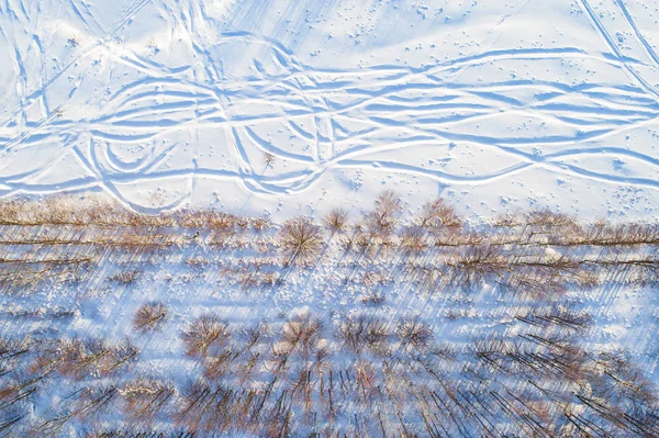 Bovenaanzicht Van Rechte Rijen Kale Bomen Met Lange Schaduwen Langs — Stockfoto