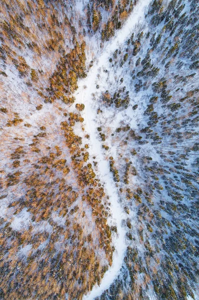 겨울 숲의 하얀 길의 공중 보기 — 스톡 사진