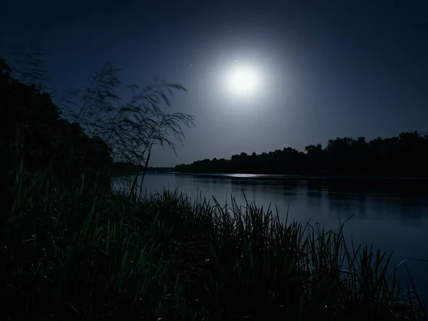 Nachtlandschaft Mit Wäldern Flussufer Mondlicht Langzeitbelichtung — Stockfoto