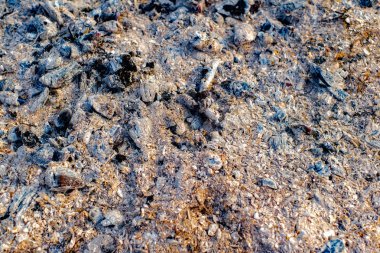 Külleri doku yandı