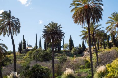 Conception Bahçe, jardin la concepcion Malaga (İspanya)