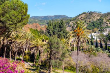 Conception Bahçe, jardin la concepcion Malaga (İspanya)