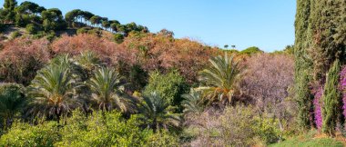 Conception Bahçe, jardin la concepcion Malaga (İspanya)