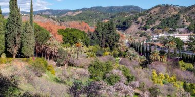 Conception Bahçe, jardin la concepcion Malaga (İspanya)