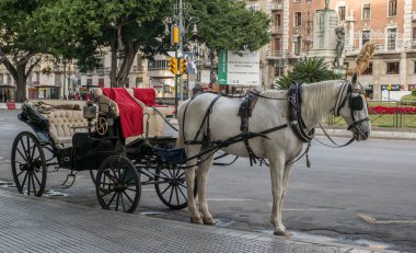 egzotik turist taşımacılığında taşıma ATI Malaga ile