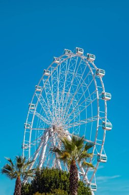Beyaz dönme dolap Malaga City, İspanya