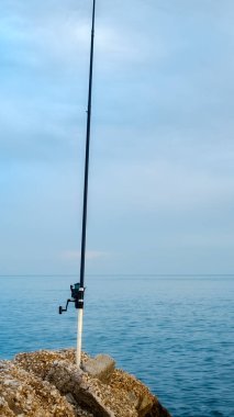 olta kamışı yakın çekim