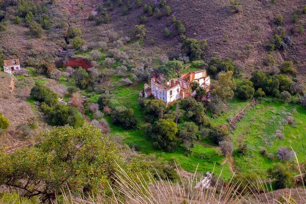 Doğanın Ortasında Terk Edilmiş Binada — Stok fotoğraf