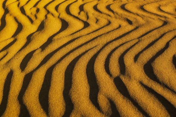 Design Sur Des Dunes Sable Doré — Photo