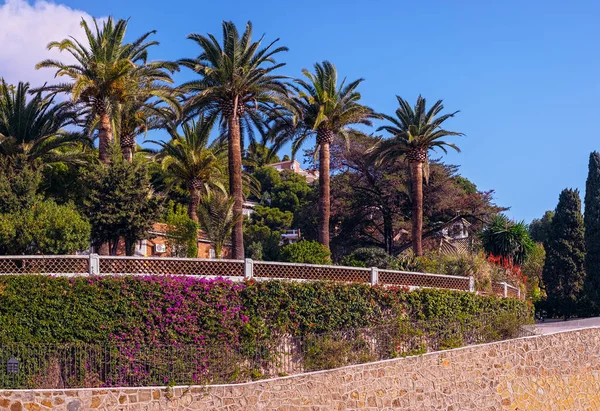 Lüks ve muhteşem Akdeniz bahçesi