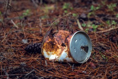 Ormandaki eski paslı içecek olabilir