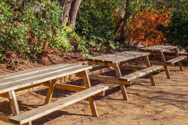 Kırsal ormanlık ormanda piknik masası