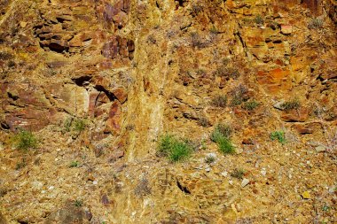 Çim ile kırmızı kayalar