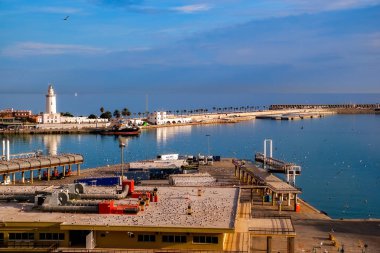 Malaga, İspanya - 25 Kasım 2017. Liman, Malaga bağlantı noktası, Costa del sol, İspanya uçan martılar.