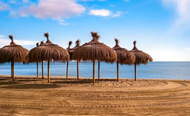 boş seaside Beach hasır şemsiyeler