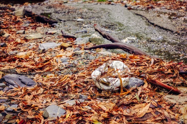 Antiguo Balón Fútbol Abandonado Bosque —  Fotos de Stock