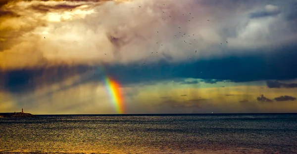 Chuva Com Arco Íris Gaivotas Mar — Fotografia de Stock