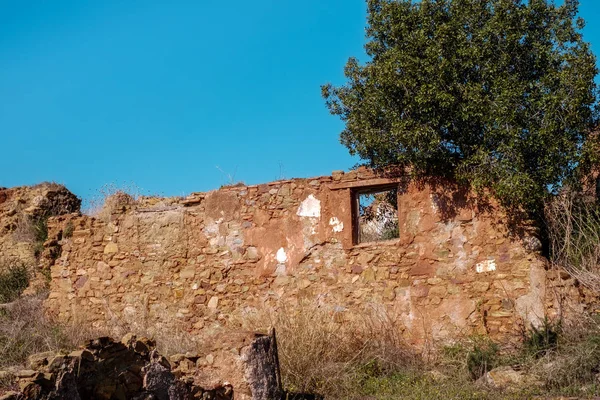 Ruínas Edifício Floresta — Fotografia de Stock