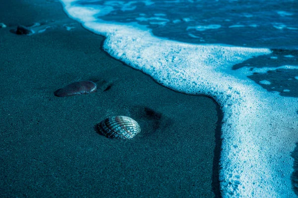 Seashell Blå Sandstranden — Stockfoto