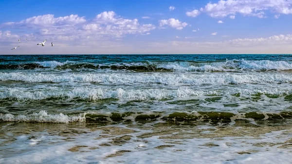 Κύματα Και Seaguls Πανόραμα — Φωτογραφία Αρχείου
