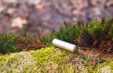 Ormandaki yosunüzerinde terk edilmiş elektrikli alkali pil