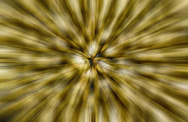 Abstracte gouden Zoom Blur achtergrond — Stockfoto