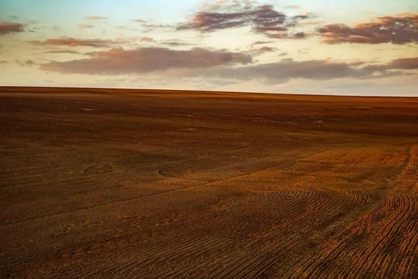 Mezőgazdasági tavaszi szántás mező vetés előtt naplementekor — Stock Fotó