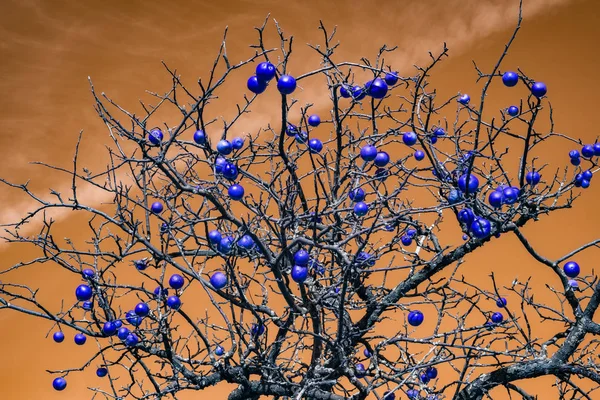 Manzana con manzanas azules en el cielo naranja —  Fotos de Stock