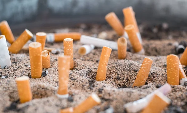 砂の中のタバコの吸い殻 — ストック写真