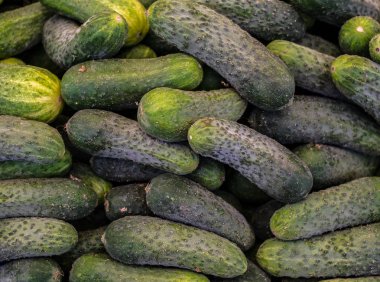 pazar tezgahında salatalık