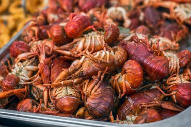taze yengeçler pazar tezgahında pişmiş