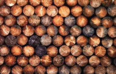 doğal ahşap yuvarlak kütükler kazık