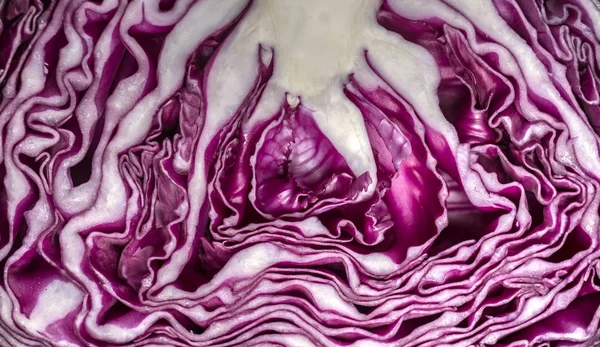 Cut in half red cabbage, close view — Stock Photo, Image