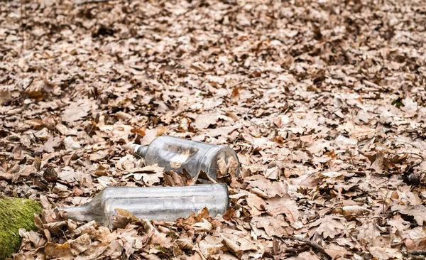 Botellas de bebida vacías arrojadas al bosque —  Fotos de Stock