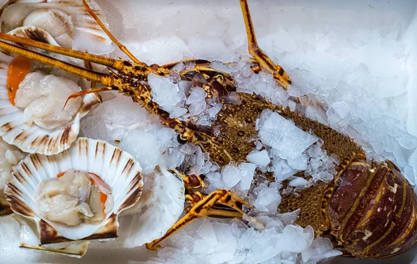 Langosta fresca y ostras sobre hielo en el mercado — Foto de Stock