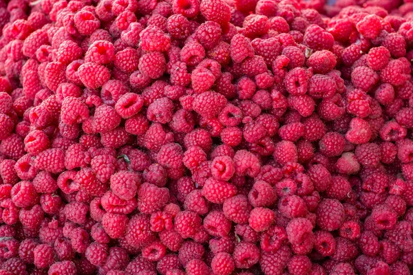 Fresh ripe raspberry as textured background — Stock Photo, Image