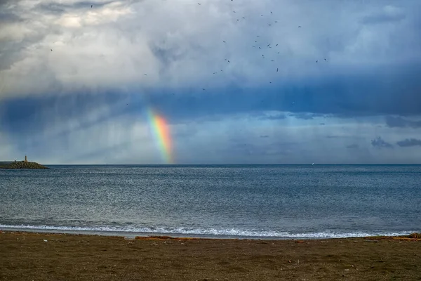 Мусор на пляже после шторма с радугой и чайкой — стоковое фото