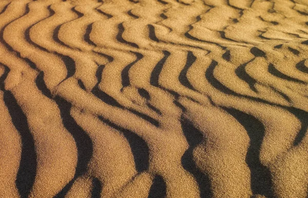 Gouden zandduinen, close View — Stockfoto