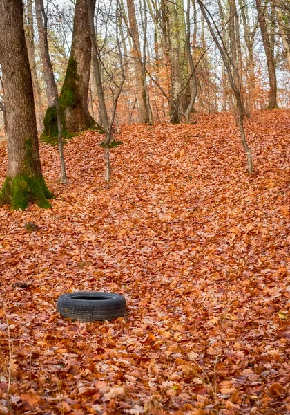 Old automobile tyre thrown out in a autumn forest — Stock Photo, Image
