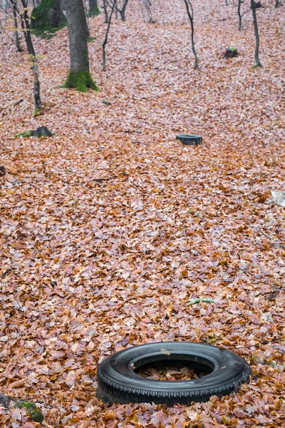 Viejo neumático de automóvil tirado en un bosque de otoño, la contaminación de —  Fotos de Stock