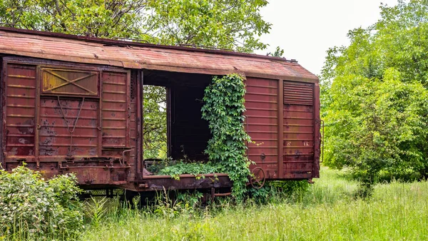 Alter Eisenbahnwaggon von Vegetation erfasst — Stockfoto