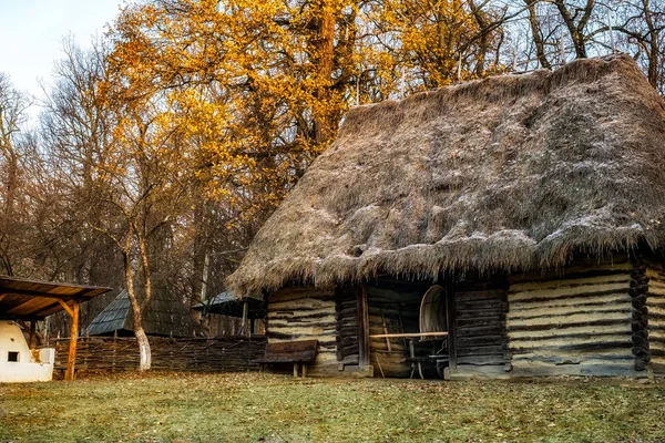 Rumah pedesaan tradisional romania dengan atap jerami — Stok Foto