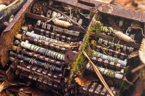 Vieux sélecteur de canal tuner tv avec mousse dans les feuilles d'automne — Photo