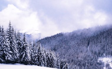 Kış dağ manzarası