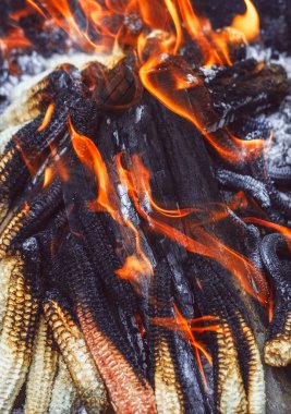 Atık mısır koçanları yanıyor