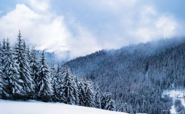 Kış dağ manzarası