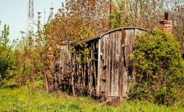 Vintage ahşap demiryolu vagon bitki örtüsü tarafından yakalanan metruk.