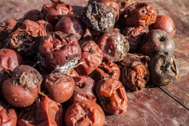 bahçede masada çürük elma