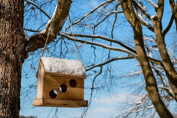 La caja para los pájaros que cuelgan en el árbol, en invierno — Foto de Stock