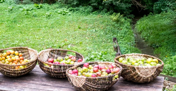 花园里的老木桌上挂着苹果的柳条筐 — 图库照片